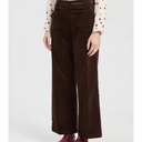 Vilagallo Ari Velvet Trouser In Chocolate